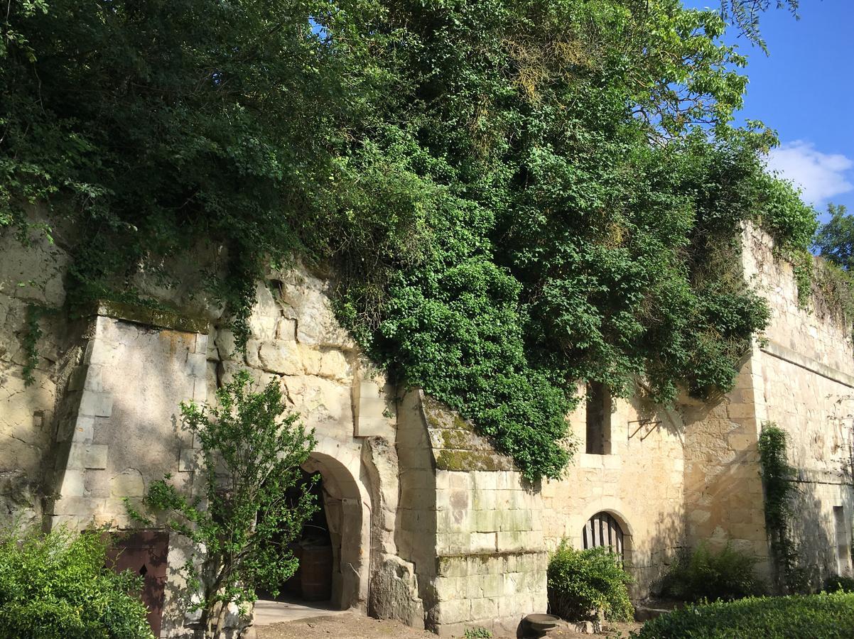 La Seignere Hotel Saumur Buitenkant foto